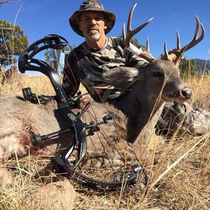 Archery Coues Deer